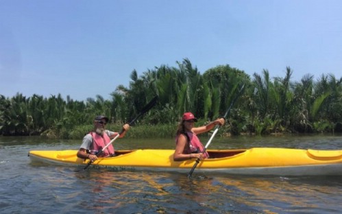 Easy Paddle In Mangrove Forest