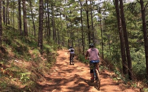 Amazing Dalat Mountain Biking 8 Challenge